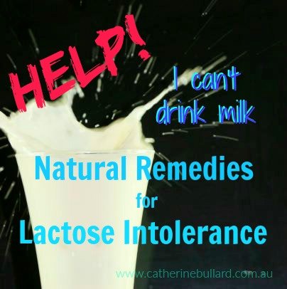 plant nbased milk dairy milk alternatives