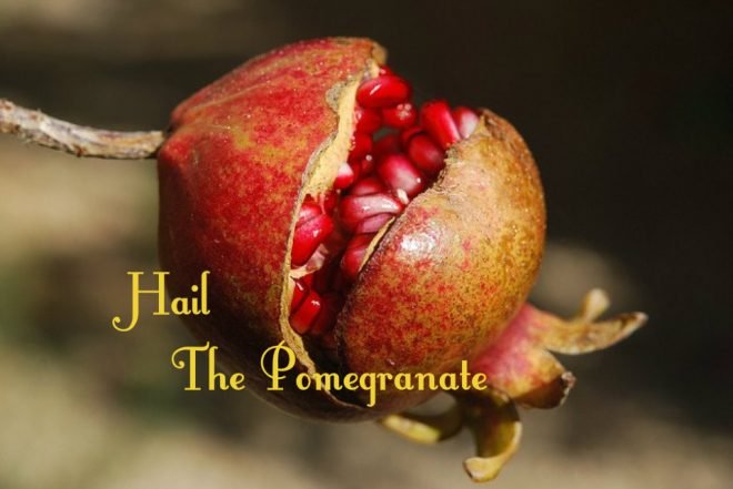 autumn is pomegranate time