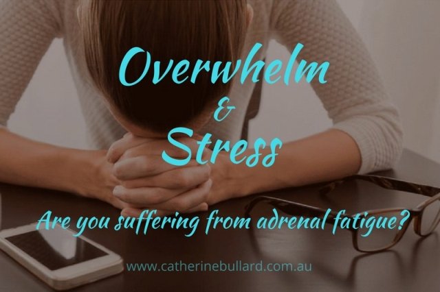 adrenal fatigue stress and overwhelm