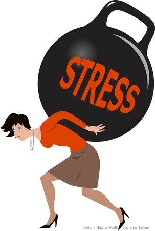 stress and adrenal fatigue
